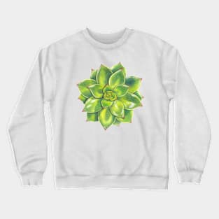 Delicious Succulent Flowers Crewneck Sweatshirt